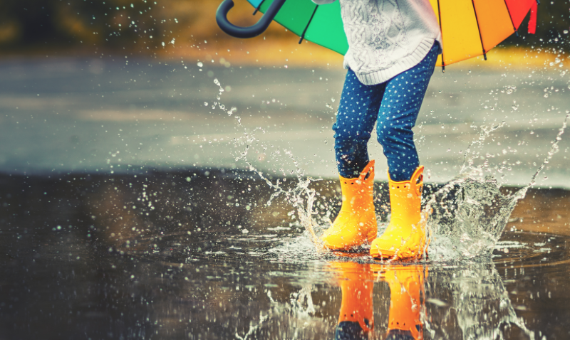 Your Assessment Journey